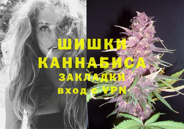 крисы Абдулино