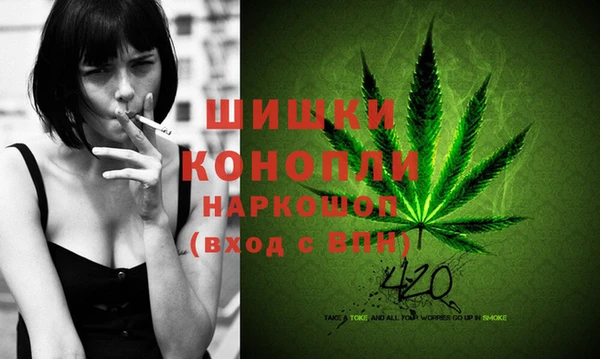 спайс Покачи