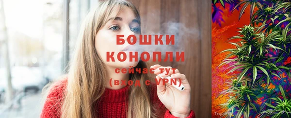 спайс Покачи