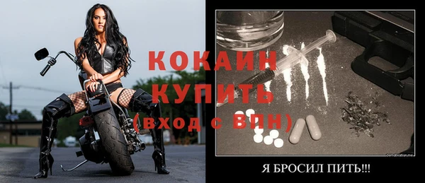 СК Новосибирск