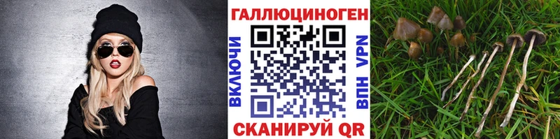 блэк спрут ссылка Канск Галлюциногенные грибы прущие грибы