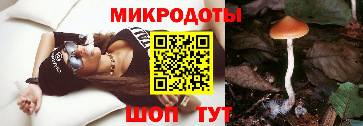 Галлюциногенные грибы Psilocybine cubensis Канск