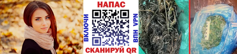 магазин продажи наркотиков гидра ссылки Шишки марихуана конопля Канск